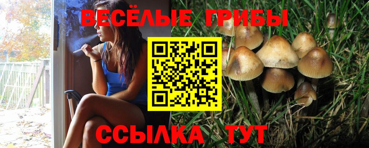 купить наркоту  Вход с VPN  Иркутск  Галлюциногенные грибы Psilocybe 