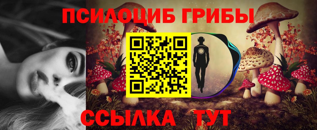 Псилоцибиновые грибы MAGIC MUSHROOMS Иркутск
