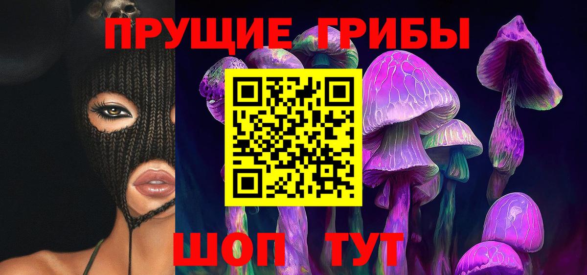Псилоцибиновые грибы Cubensis Иркутск